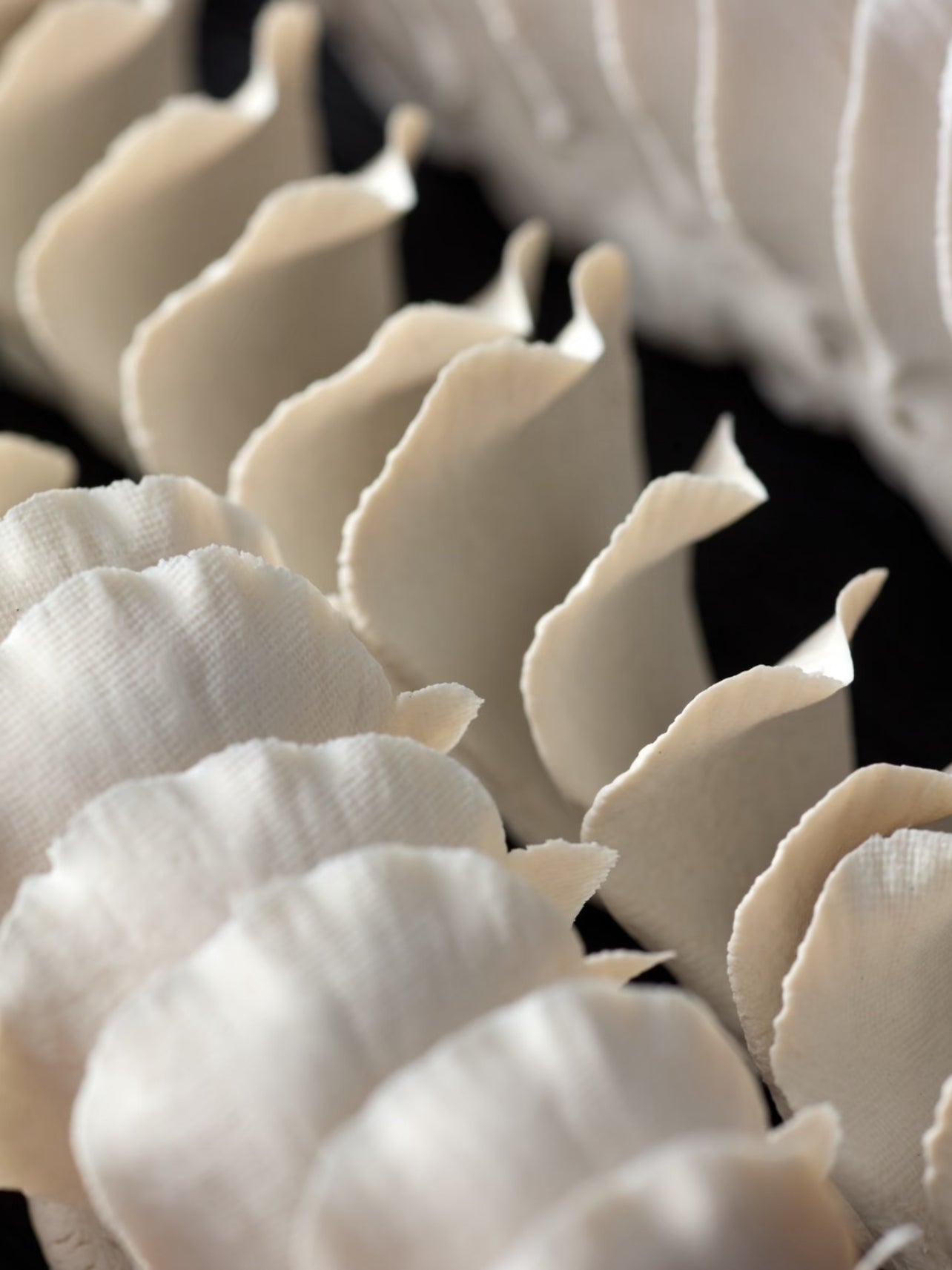 80枚の花弁、52の工程：一輪の磁器の花が紡ぐゆったりとした時間