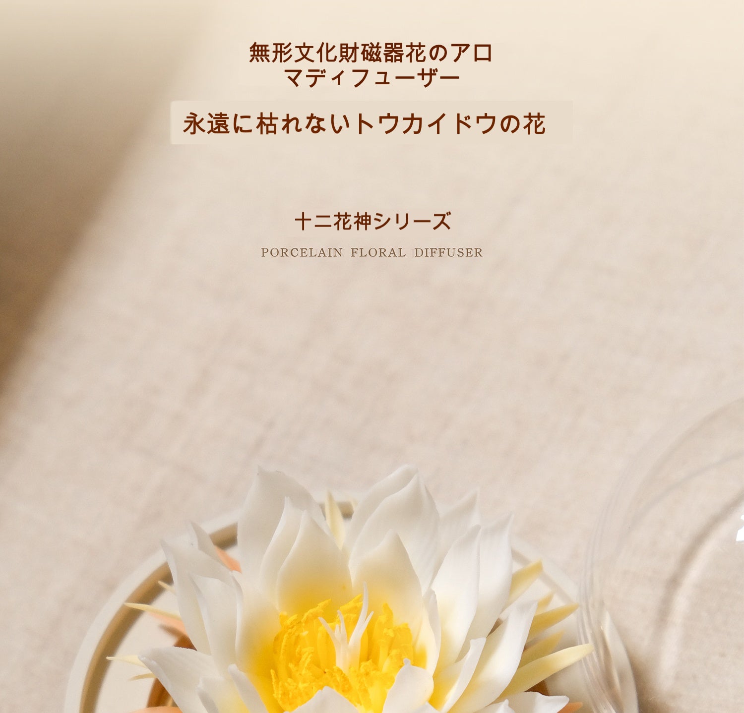 昙花 陶磁器の花香炉