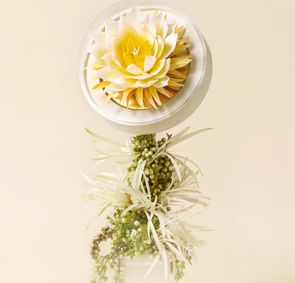 昙花 陶磁器の花香炉