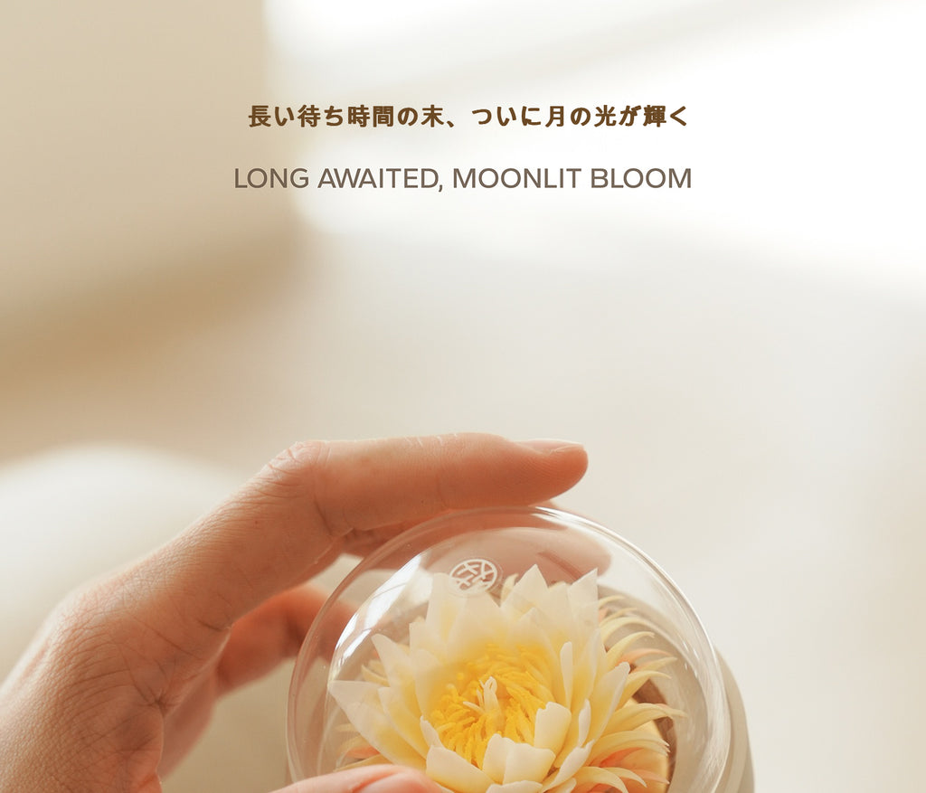 昙花 陶磁器の花香炉