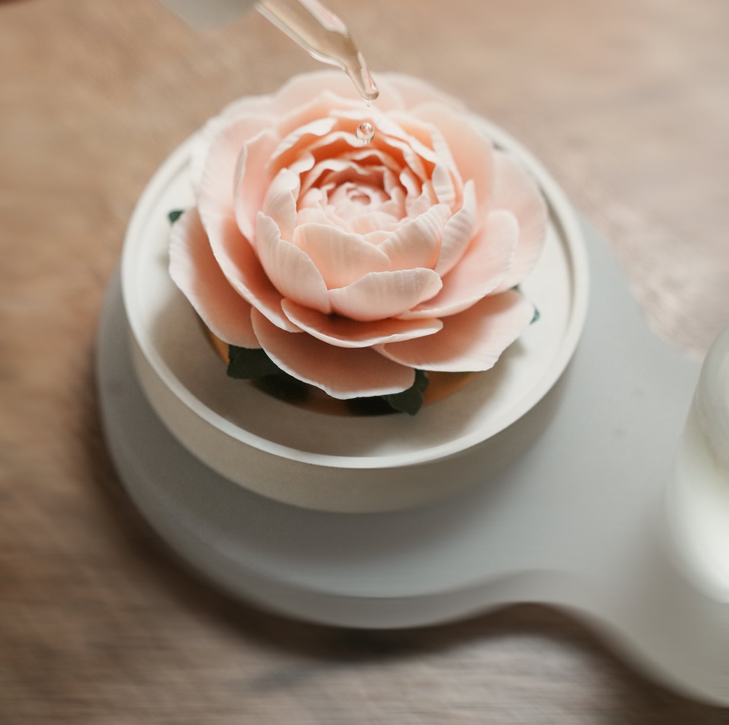 山茶 陶磁器の花香炉