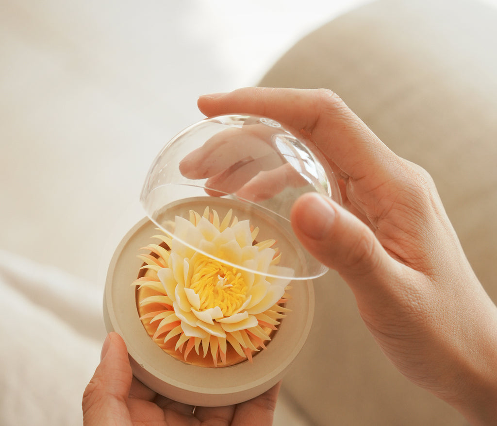昙花 陶磁器の花香炉