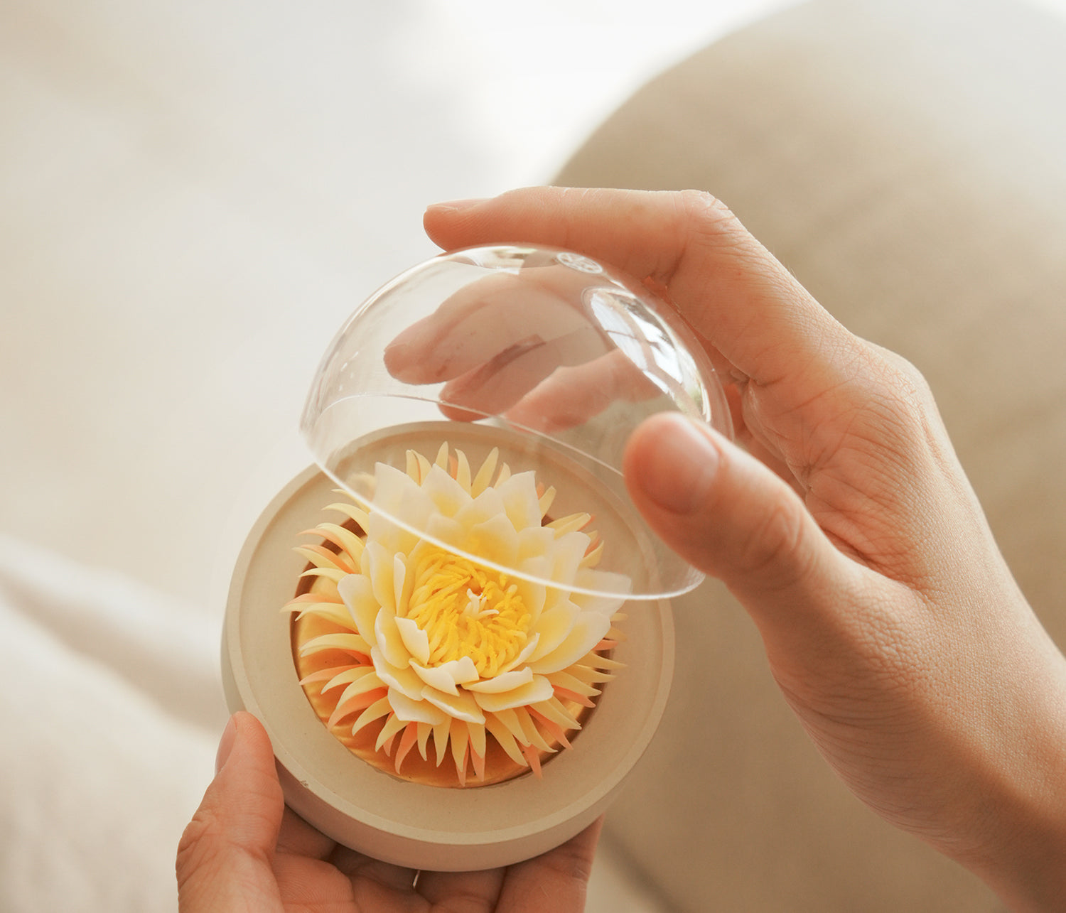 昙花 陶磁器の花香炉