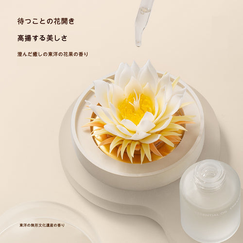 昙花 陶磁器の花香炉