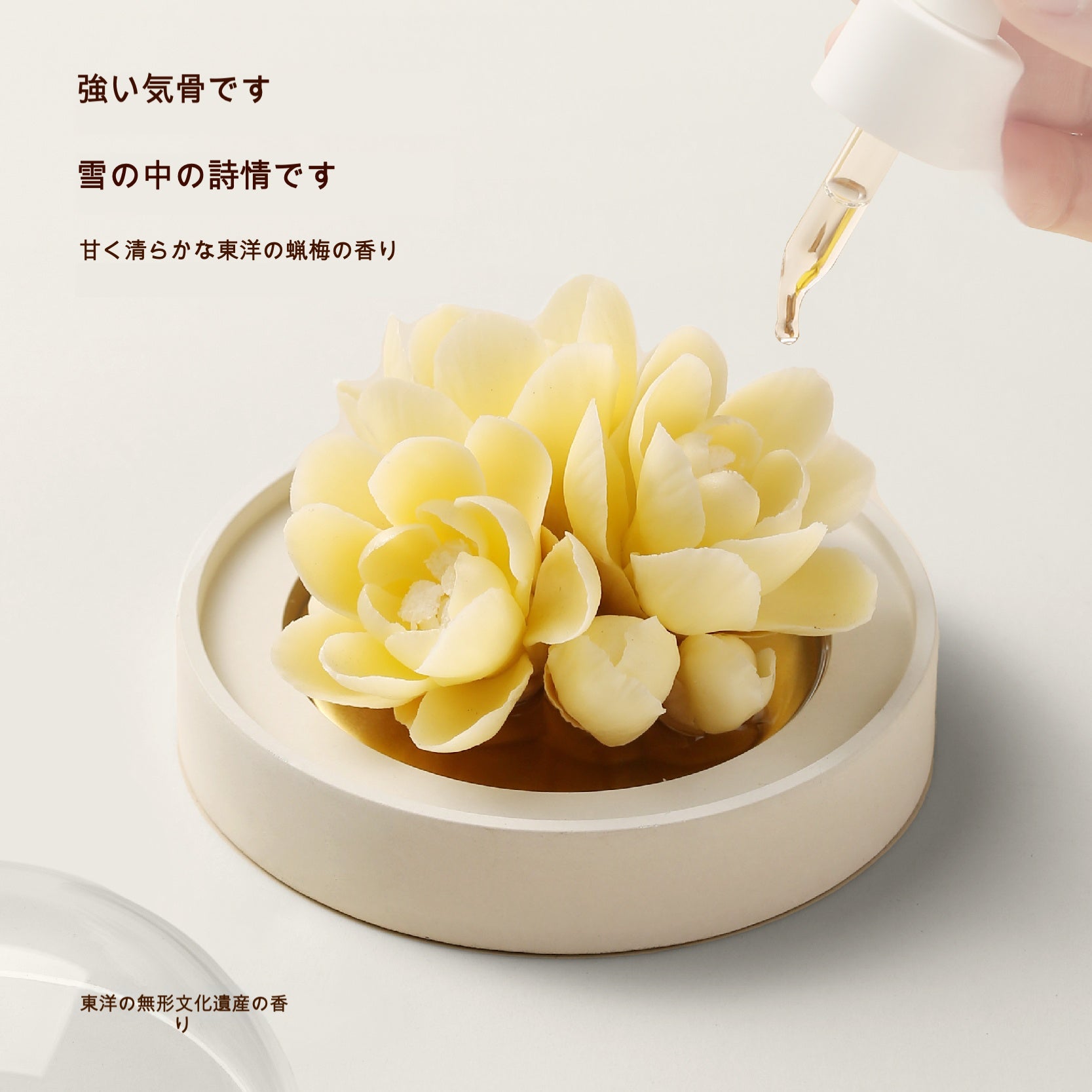 蠟梅 陶磁器の花香炉