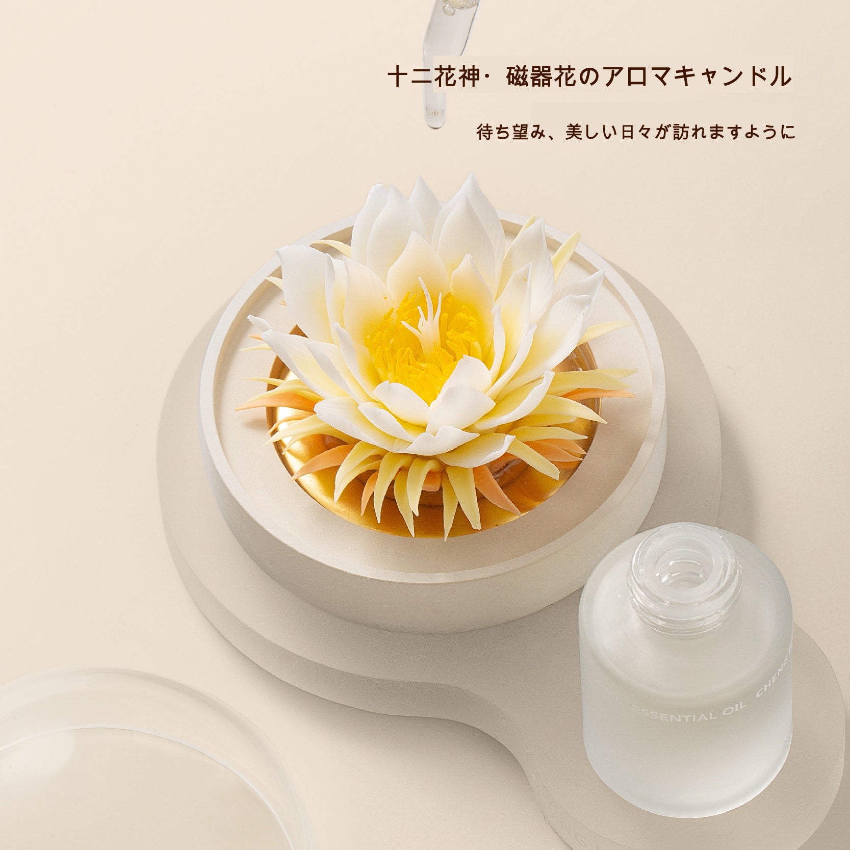 昙花 陶磁器の花香炉