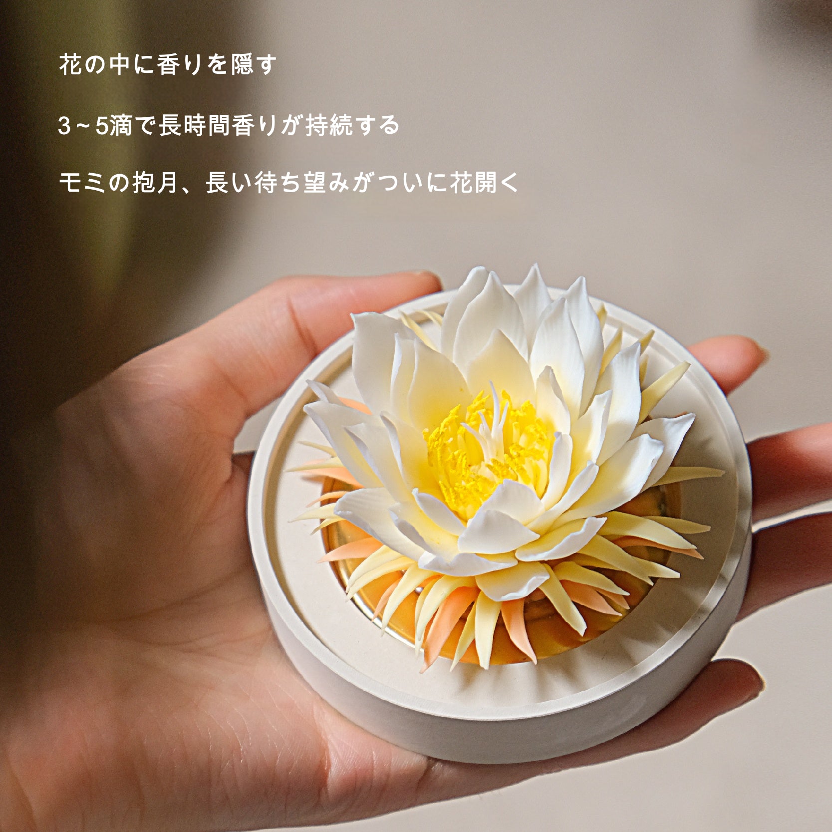 昙花 陶磁器の花香炉