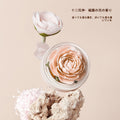 山茶 陶磁器の花香炉