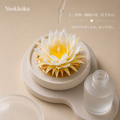 十二花神・陶磁の花〈月下美人〉