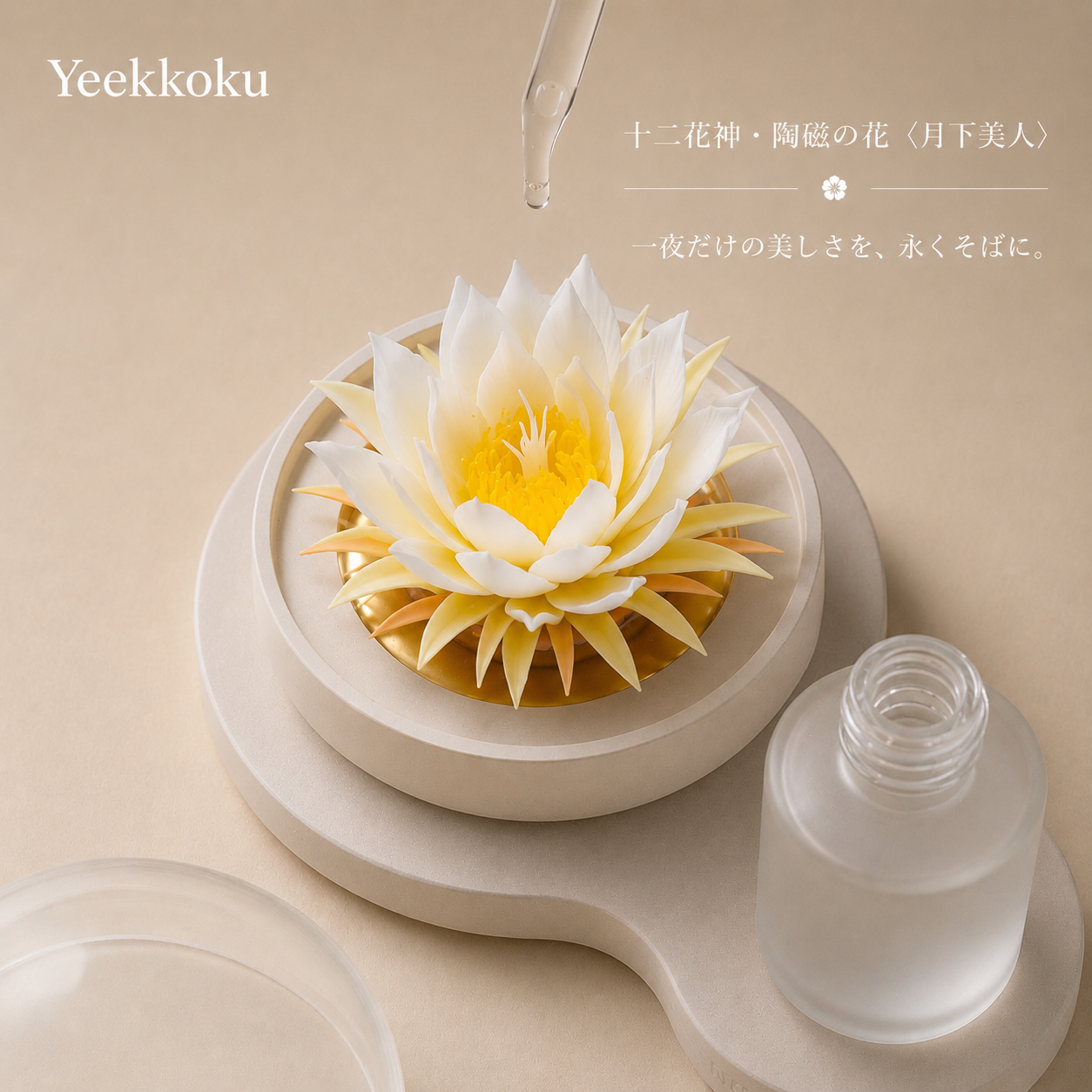 十二花神・陶磁の花〈月下美人〉